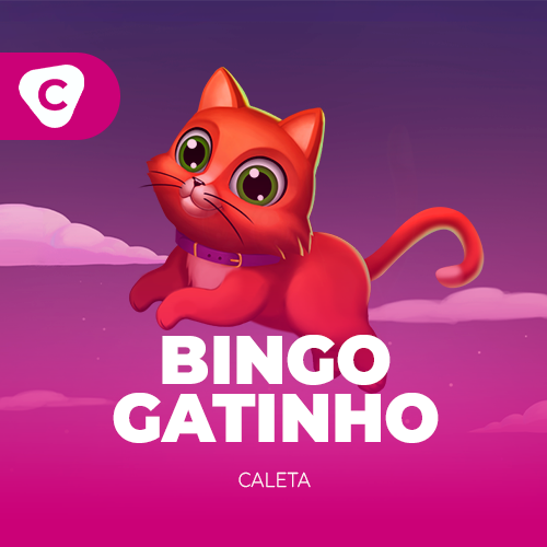 Bingo Gatinho